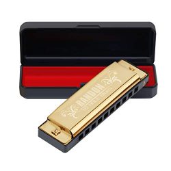 Randon Harmonica, Blues Harmonica Key of C 10 Holes 20 Tones Mouth Organ C Harmonica for Kids, A ...