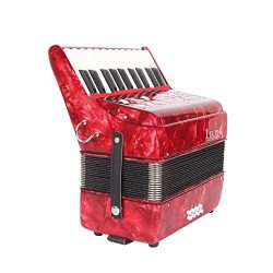 Festnight 22-Key 8 Bass Piano Accordion with Straps Gloves Cleaning Cloth Educational Music Inst ...