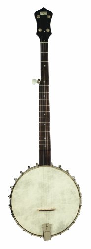 Recording King RK-OT25-BR Madison Open Back Banjo, Scooped Fretboard