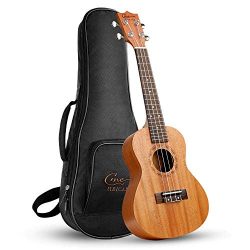 Concert Ukulele 21 Inch for Beginners Kids