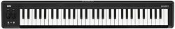 Korg Keyboard Amplifier, 61-Key (MICROKEY261)